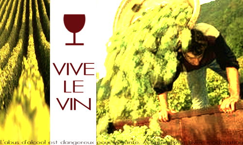  Aperçu de la carte : Vive le vin