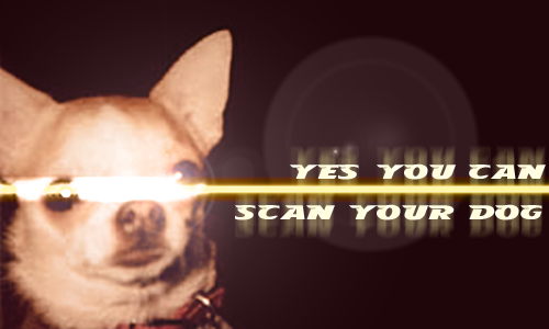 Aperçu de la carte : Scan your dog
