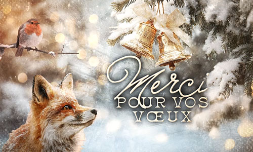 Aperçu de la carte : Un message chaleureux