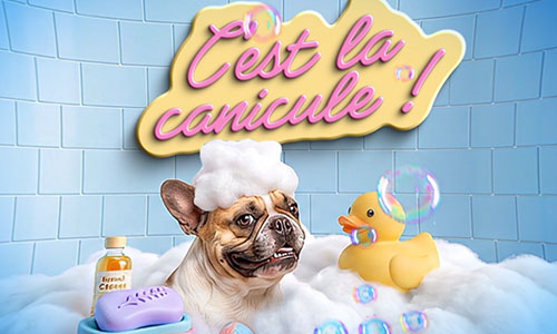 Un peu de fraîcheur