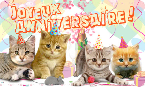 Carte Heureux Anniversaire Chat