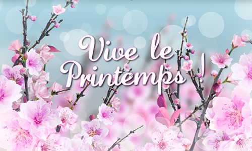 Aperçu de la carte : Primevère, pâquerette et violette, Vive le printemps !