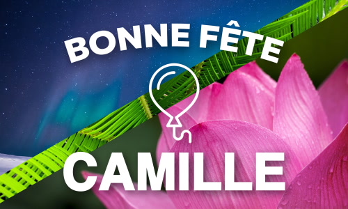 Aperçu de la carte : Le 14 juillet, c'est la fête de Camille !