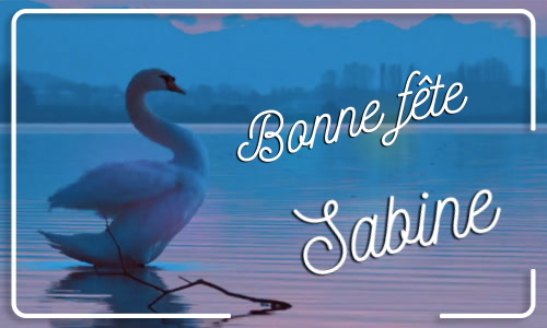 Aperçu de la carte : Bonne fête Sabine !