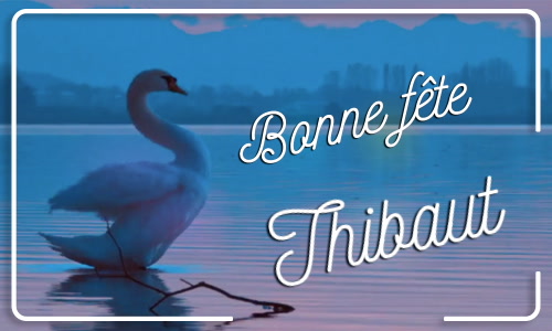 Aperçu de la carte : Bonne fête Thibaut