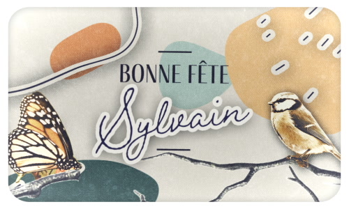 Aperçu de la carte : Bonne fête Sylvain !