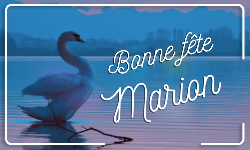 Aperçu de la carte : Marion, bonne fête le 15 août !