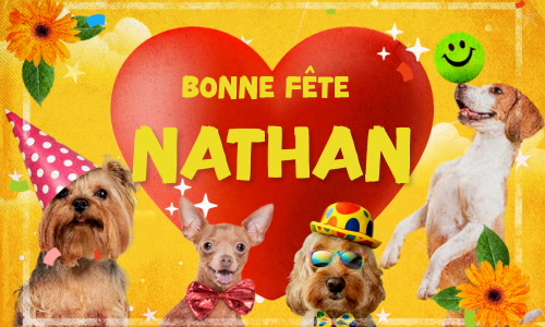 Aperçu de la carte : Bonne fête Nathan !