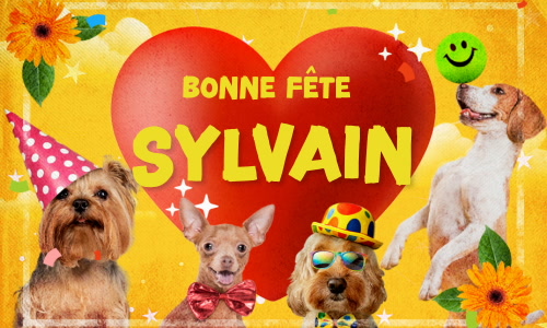 Aperçu de la carte : Bonne fête Sylvain !