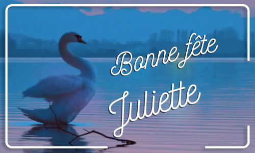 Aperçu de la carte : Joyeuse fête Juliette, le 30 Juillet !