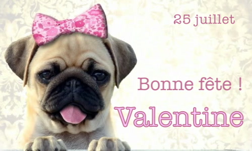 Aperçu de la carte : Surprise pour Valentine, 25 juillet !