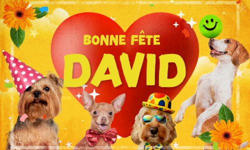 Aperçu de la carte : David, bonne fête le 29 décembre !