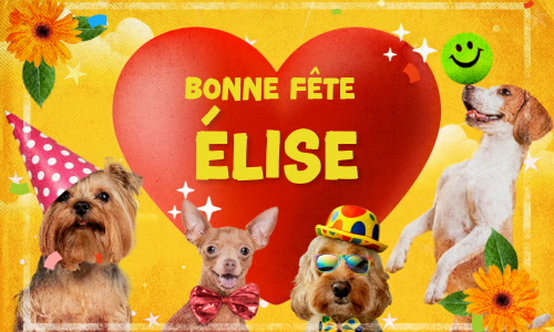 Aperçu de la carte : Élise, bonne fête le 17 novembre !