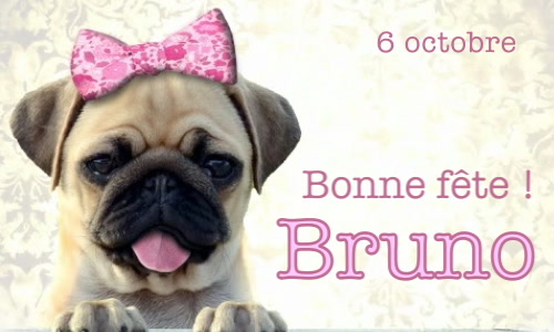 Aperçu de la carte : Bonne fête Bruno !