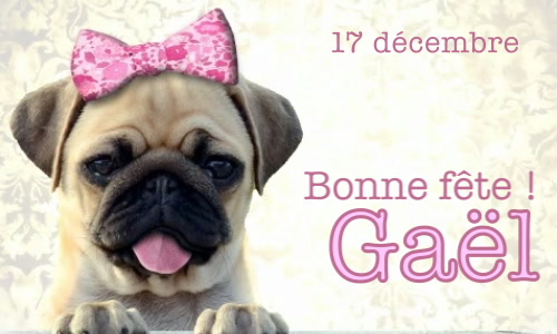 Aperçu de la carte : Gaël, bonne fête le 17 décembre !