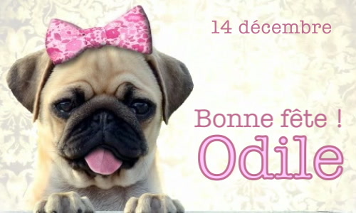 Aperçu de la carte : Joyeuse fête Odile, le 14 décembre !