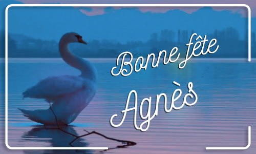 Première carte bonne fête Agnès - 21 janvier