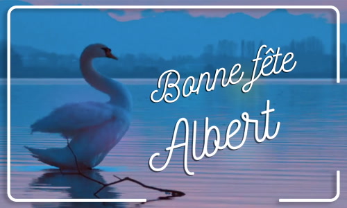 Première carte bonne fête Albert - 15 novembre