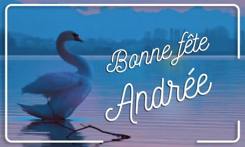 Première carte bonne fête Andrée - 30 novembre