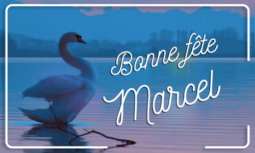 Première carte bonne fête Marcel - 16 janvier