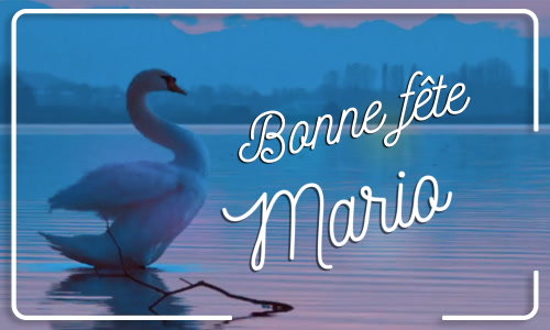 Première carte bonne fête Mario - 19 janvier