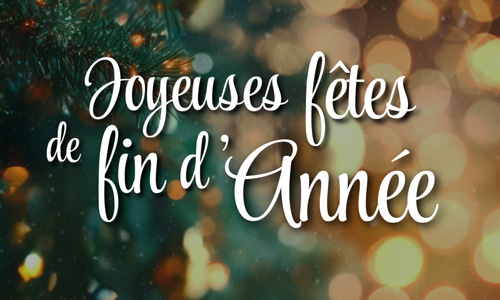 Joyeuses fêtes de fin d'année
