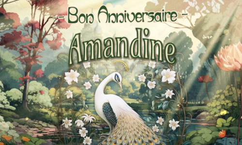 Une carte anniversaire pour Amandine