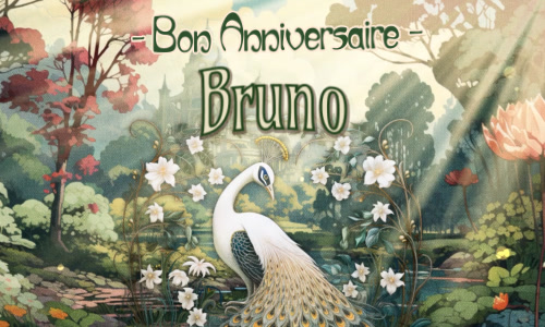 Bon anniversaire Bruno !