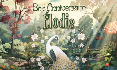 Élodie, c'est ton anniversaire !