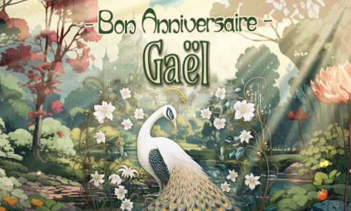 Une carte anniversaire pour Gaël