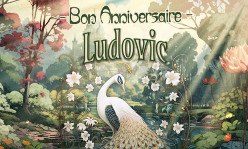 Un anniversaire inoubliable pour Ludovic