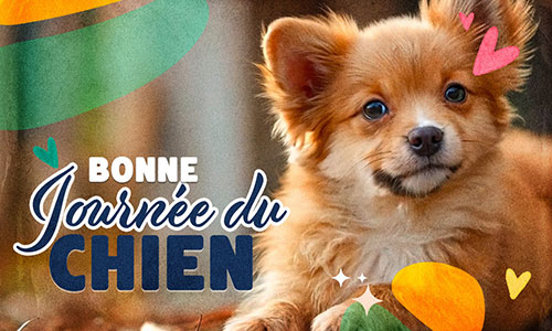 Première carte chien