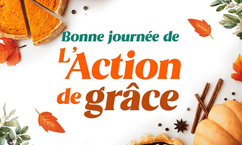 Aperçu de la carte : La chaleur de la gratitude