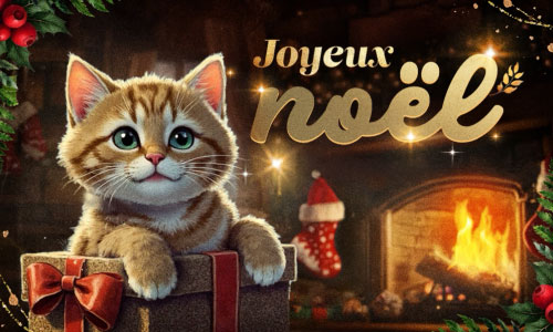 Première carte dernières créations