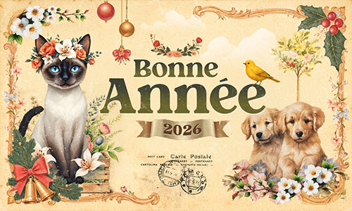 Aperçu de la carte : Quand l'année s'éveille en tendresse