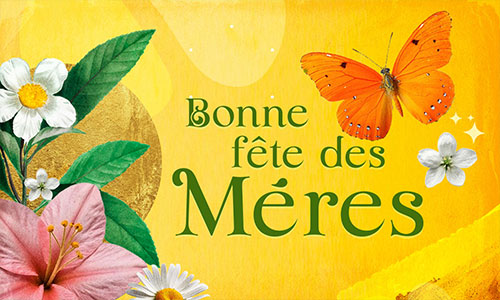 Au fil des instants partagés...