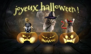 Cartes Halloween Virtuelles Gratuites