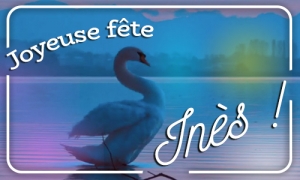 Cybercartes Cartes De Voeux Cartes Virtuelles Gratuites