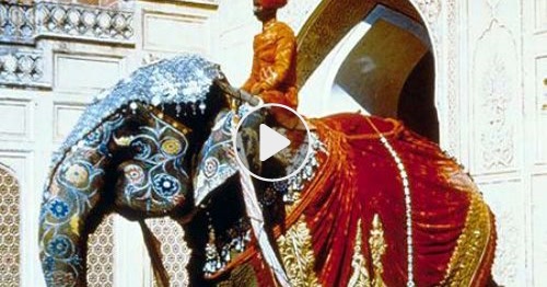 Carte Elephant D Asie Cybercartes Com