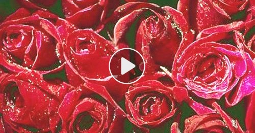Carte Bouquet De Roses Cybercartes Com