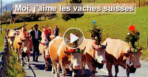 Carte Vaches Suisses Cybercartes Com