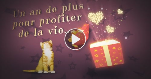 Carte La Douceur D Un Chat Et Des Souhaits Cybercartes Com
