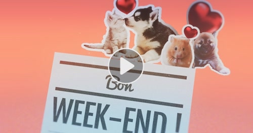 Carte Bon Week End Cybercartes Com