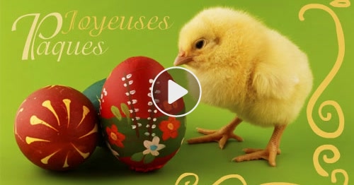 Images Animes De Pques Gratuites