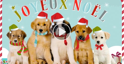 Carte Joyeux Noël ! Chiens - CyberCartes.com