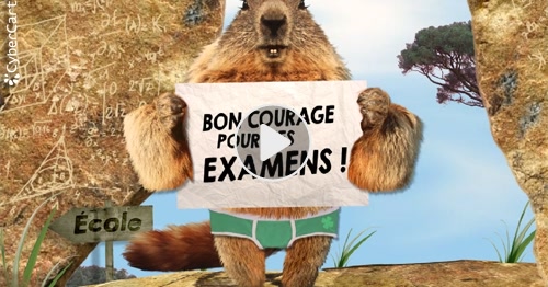 Carte Bon Courage Pour Tes Examens Cybercartes Com