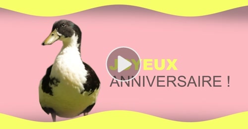 Carte Tu Es Nee Pile Le Jour De Ton Anniversaire Cybercartes Com